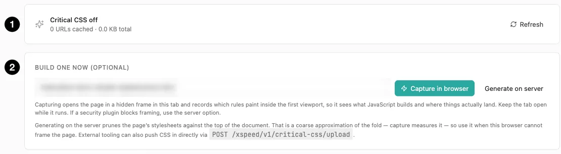 Critical CSS status and generation