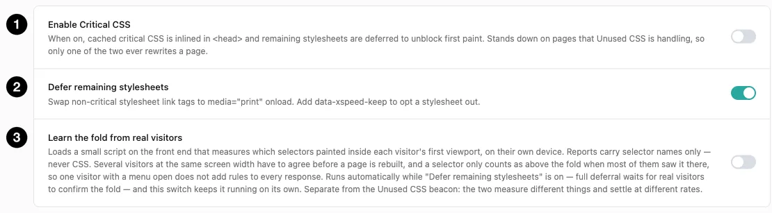 The Critical CSS settings