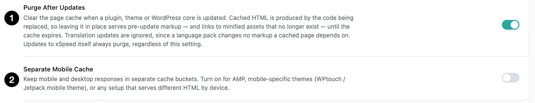 The Purge After Updates and Separate Mobile Cache toggles