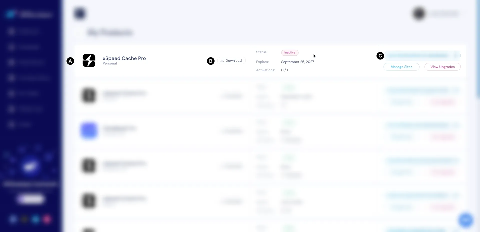 The xSpeed Cache Pro licence in a WPDeveloper account