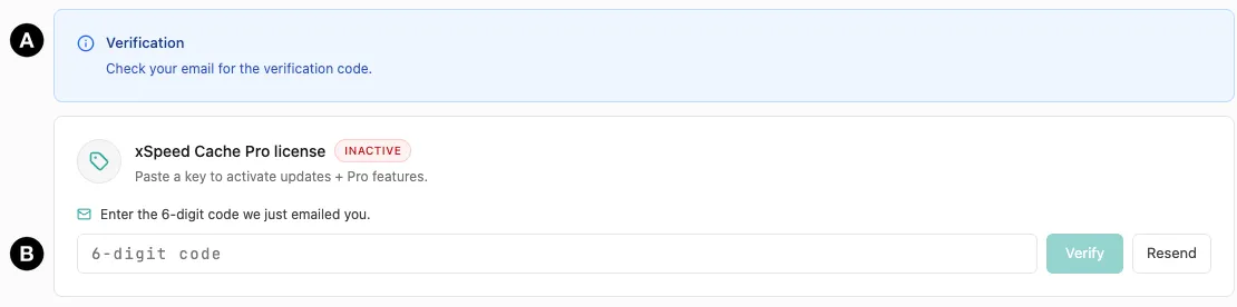 The email verification step