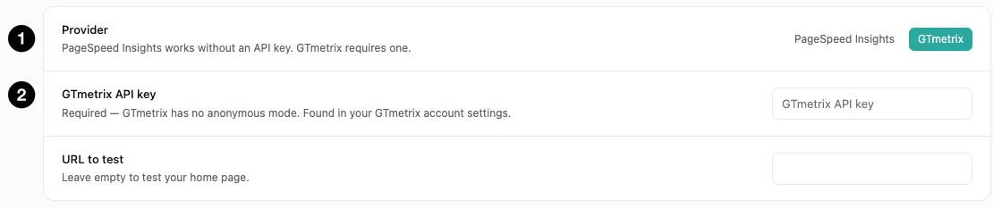 The settings in GTmetrix mode