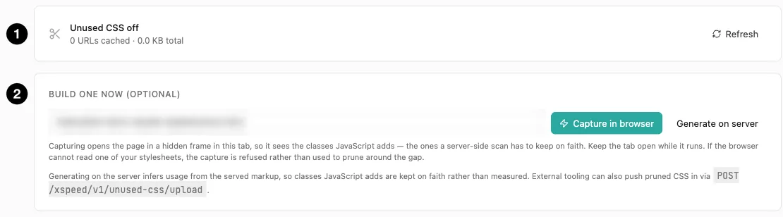 Unused CSS status and generation