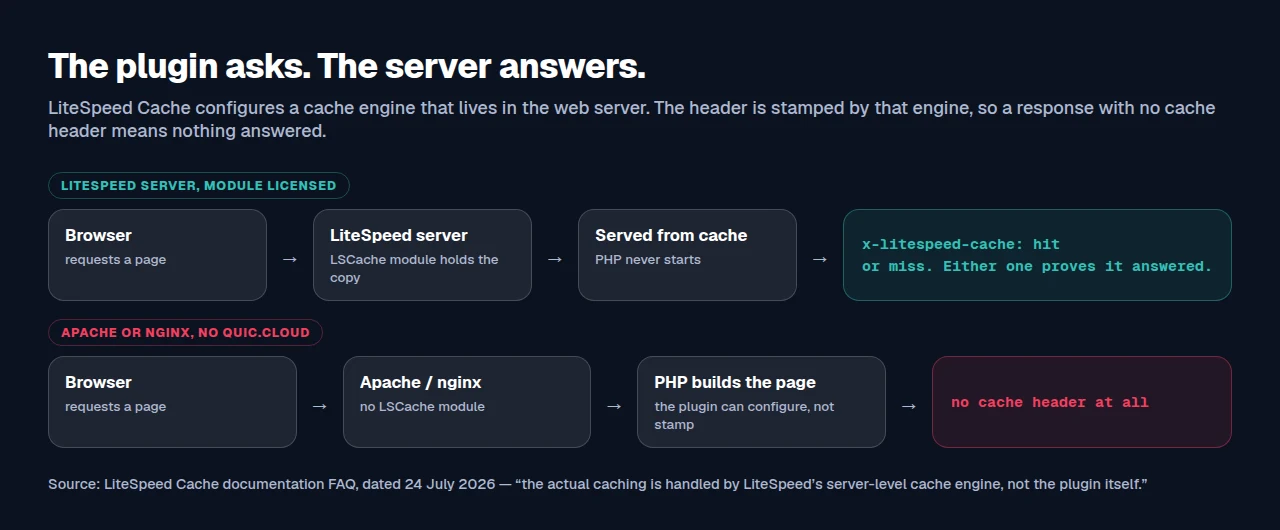 Two request paths: a LiteSpeed server stamps the cache header, Apache and nginx stamp nothing.