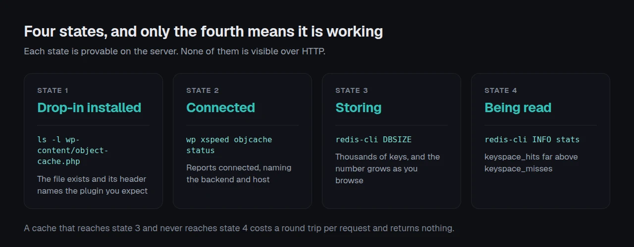 Four states of a WordPress object cache, from drop-in installed through connected, storing and read, with the command proving each