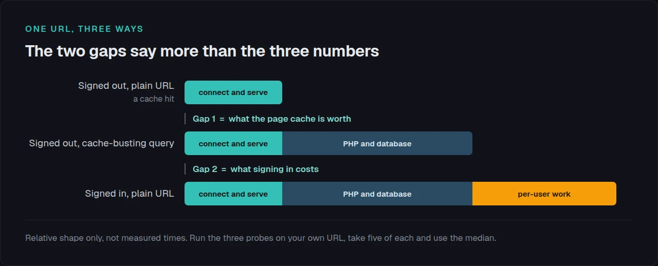 Three bars for one URL: connect and serve, then plus PHP and database, then plus per-user work.